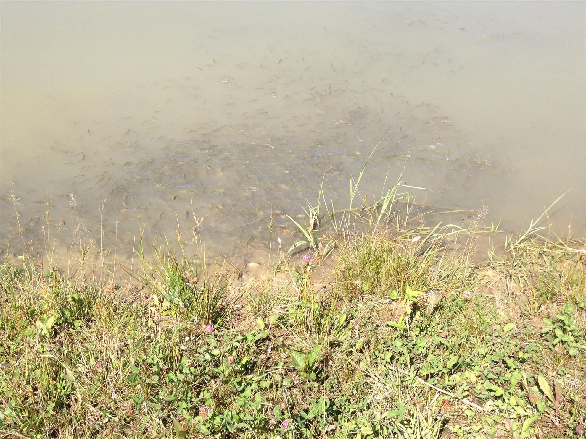 balta Var - img0492.jpg